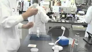 Cheese Quality Assurance