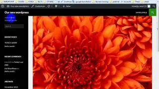 wordpress one