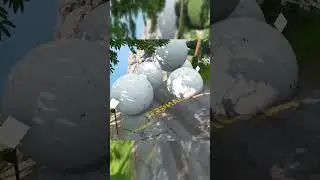 Car Accident Analysis, Vehicle Physics Explained, and Funny Animated Car Videos