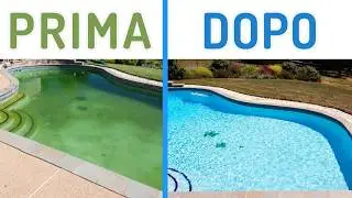 Da acqua verde a piscina limpida e cristallina (in 10 passi)