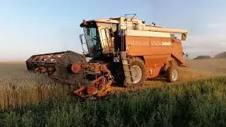 Posledný deň žatvy 2021 v PPD Rybany / Claas 530 / New Holland CX 8080 / John Deere 8400R / Liaz