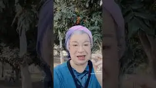 Сумах дубильный