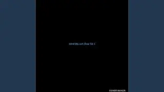 Reporting Live From The 6ix