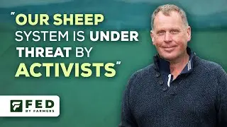 Derek Hall - Sheep Stratification