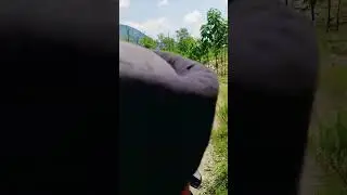 R15 vs CBR CBRtopspeed