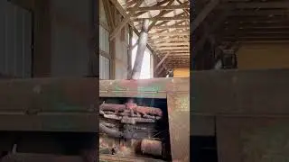 Oliver 77 first start in 2023 #oliverandwhitetractors #farmingvideos #tractor