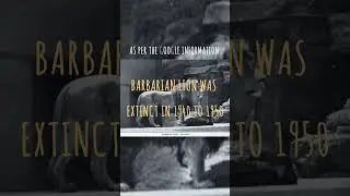 *# Extinct #Animals#in#world#