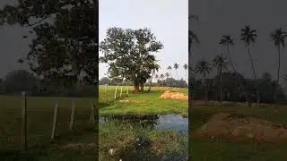 moving #song #nature 🌿🍃🌿🍃🌿🍃