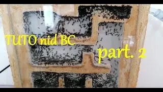 [TUTO]Fabriquer un nid en bc(beton celluaire part.2  Suite nid Messor Barbarus . .. blindage.Medoc72