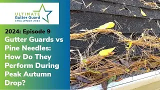 Gutter Guards vs Pine Needles: How Do They Perform During Peak Autumn Drop? [2024: EP9]