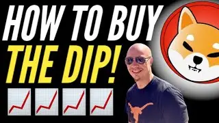 BUYING THE SHIBA INU DIP? (SHIBA INU PRICE ANALYSIS)