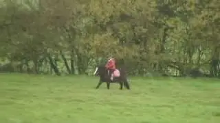 Jasmyn  jumping and cantering on Prince William aged 5