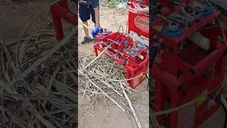 This sugar cane peeling machine works very well