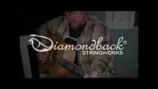 Diamondback Stringworks Arch Back Model 025 Sweet GA Brown Custom. Demo by Husky Burnette