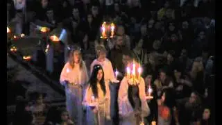 NLVs luciatag 2011 intaget