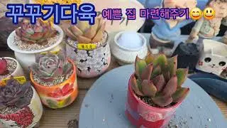 새꾸 예쁜집 마련해주었어요😄😃😀