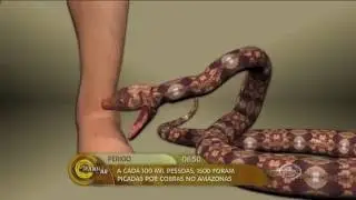 PLANTA TEM O PODER DE NEUTRALIZAR VENENO DE COBRA - Manhã no Ar 06/09/16