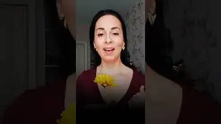 🚀 LIVE STREAM ABOUT PURPOSE IN THE 