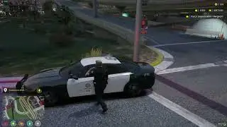 LAPD Happy Nation edit