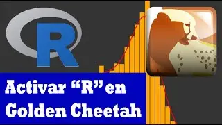 Como usar R en Golden Cheetah