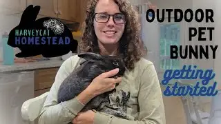 Your New Outdoor Pet Rabbit