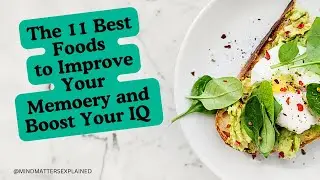 The 11 Best Foods To Improve Memory and Boost Your IQ !
