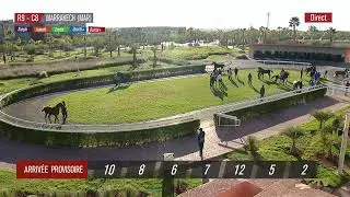 Live Hippodrome « MARRAKECH » Courses du « 01/02/2026 »