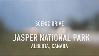 Scenic Drive - Jasper National Park, Alberta, Canada