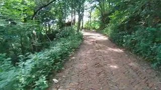 সীতাকুণ্ড ইকোপার্ক 