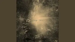Through The Storm, In Your Arms