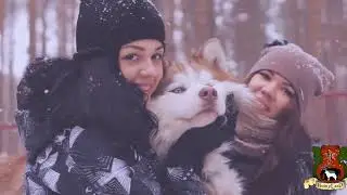 HuskiLadn presentation3
