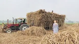Tractor 640tractor480#youtubeshorts #farming 