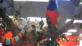 Talking Tree and Talking Parrot Conversation Made by Characters Unlimited Inc.
