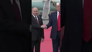 As&iacute; reaccion&oacute; Putin tras ser preguntado si dejar&aacute; de matar civiles por una periodista ante Trump