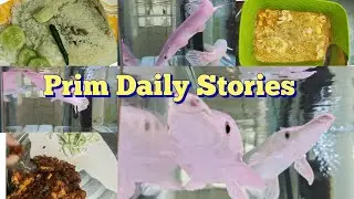বাচ্চাদের দেখেশুনে না রাখতে পারলে, তাদেরকে বাহিরে নিয়ে আসা উচিত না☹️☹️#viralvideo #blogger 
