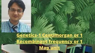 centimorgan or map unit