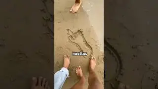 Esta huella dej&oacute; a todos confundidos en la playa | #shortsvideo