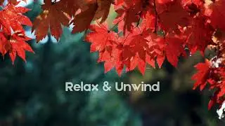 🌸 Relax with Nature & A.R. Rahman-Inspired Music | Beautiful Flower Scenery & Soothing BGM 🌄