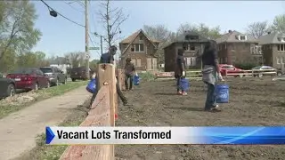 Vacant lots transformed