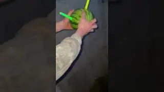 😳🍉 | #shortking #memezar #tiktokviral #short