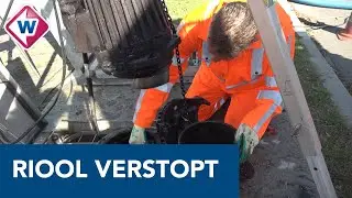 Verstopte riolen in Westland door schoonmaakdoekjes - OMROEP WEST