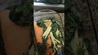 salmon and spinach