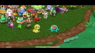 Dandidoo + Toe Jammer duet (Continent) (dof)