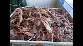Snow Crab Fishing 2022 (2J South Labrador)