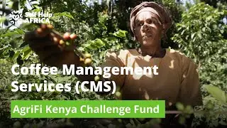 AgriFI Coffee management Services LTD