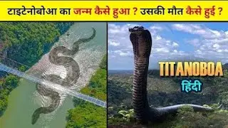 टाइटैनोबोआ सांप को किसने मारा? | Titanobua snake in hindi ! Titonobua snak video ! Hindi fact 
