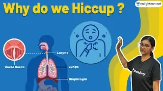 Why Do We Hiccup | Reason Behind Hiccup | Enlightenment | Vindhya Rao