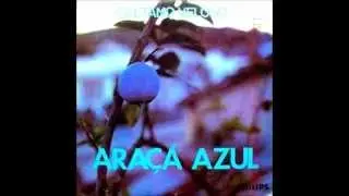 Sugar Cane Fields Forever (Ara&ccedil;&aacute; Azul 1972) 2006
