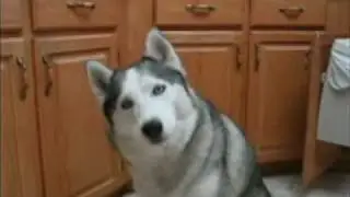 Crystal sings Happy Birthday