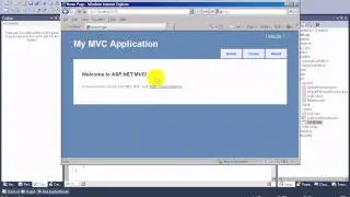 How to use HandleError in asp net mvc
